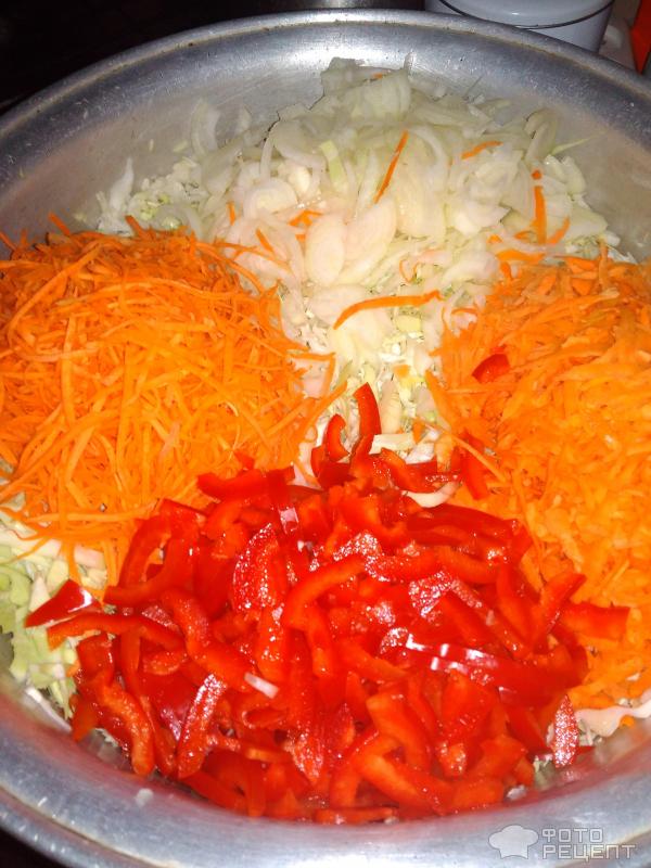 Капуста морковь сладкий перец. Салат из капусты с морковью. Салат из капусты с болгарским перцем. Салат с морковью и болгарским перцем. Капуста с морковью и перцем болгарским.