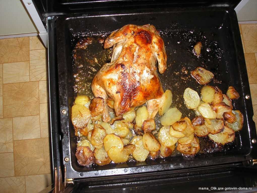 Сколько в духовке готовится курица рукаве