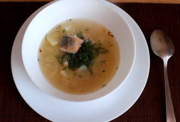 Рыбный суп из консервов горбуши рецепт с картошкой и пшеном фото пошагово